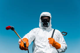 Best Residential Pest Control  in Payson, AZ